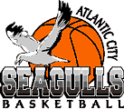 AtlanticCitySeagulls2.gif