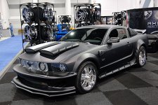 Mustang.jpg