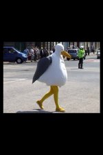 ImageUploadedByTapatalk1348232161.688866.jpg