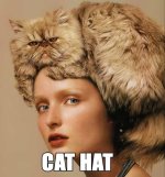 Cat-Hats.jpg