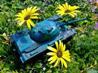 tank-and-yellow-flowers--75de85.jpg