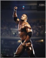 The+Rock+WWE+Champion+Heavyweight+Jacked+people%u00252527s+champ+vince+mcmahon+triple+h+mankind+.jpg