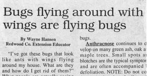 Headline1.jpg