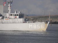 856.jpg