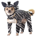 under-normal-circumstances-theres-nothing-better-than-a-dog-in-a-costume-who-doesnt-love-a-puppy.png