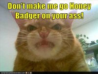 honey_badger_on_your_ass.jpg