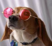 RoseTintedGlasses.jpg