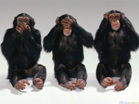 three_monkeys.jpg