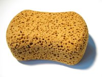 Sponge-viscose.jpg