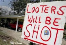 looters.jpg