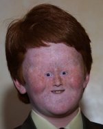 ginger-with-a-small-face.jpg