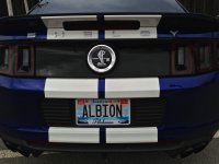 Mustang 2.jpg Mustang 2.jpg