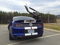 Mustang2 1.jpg Mustang2 1.jpg