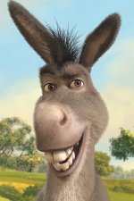 donkey-shrek-640x9601.jpeg