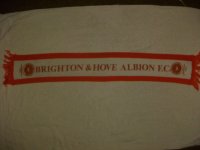Albion red scarf 004.jpg