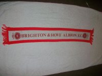 Albion red scarf 006.jpg