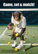 Monkey-Tennis-in-Mission-Viejo.jpg