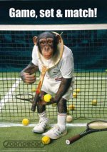 Monkey-Tennis-in-Mission-Viejo.jpg
