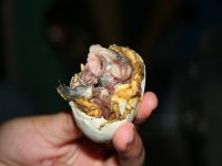 Duck egg.jpg
