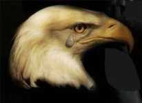 Eagle cry.jpg