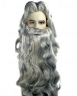 wizard_wig_wizard_beard.jpg