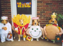 funny-pets-halloween-costumes-dogs-dressed-up-in-fast-food-outfits.png
