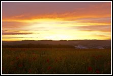 Amex Sunset 1.jpg