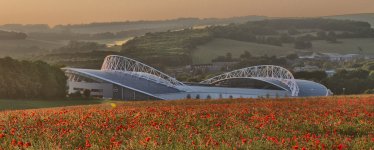 amex-poppies-2.jpg