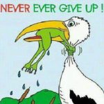 Never_Give_Up.jpg