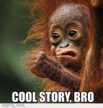 1324650304_cool_story_bro_gag.jpg 1324650304_cool_story_bro_gag.jpg