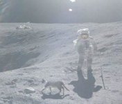 cat on the moon.jpg