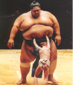 sumo2.png