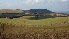 south-downs-way-wolstonbury-hill.gif