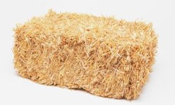 A-bale-of-hay-008.jpg