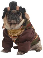 mr-t-dog-costume-pet20118-a.jpg