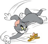 Tom-and-jerry-cartoon-300x275.jpg