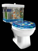 Fish bowl toilet.jpg