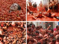 la-tomatina-food-fight1.jpg