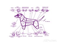 pop-ink-csa-images-dog-meat-diagram.jpg