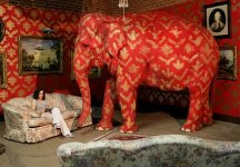 elephantinroom.jpg