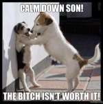 Funny-dogs-Calm-down-son.jpg