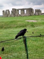 27th May 2014 Stonehenge(23).jpg