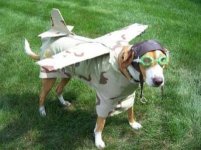 funny-dog-costume-06.jpg