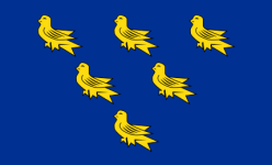 429px-Flag_of_Sussex.svg.png