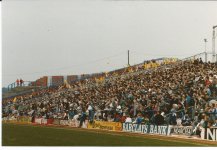 Scan.jpg