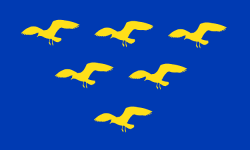 sussex-flag-seagulls-small.png
