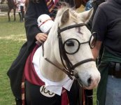 harry-potter-horse-costume.jpg