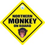 northern-monkey-chimp-2011.jpg