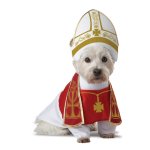 holy-hound-dog-costume-1.jpg