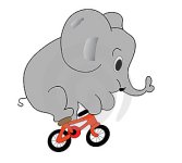 elephant-on-the-bicycle-prev1190212322oK09J9.jpg